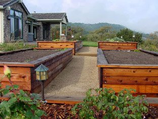 veggie gardens